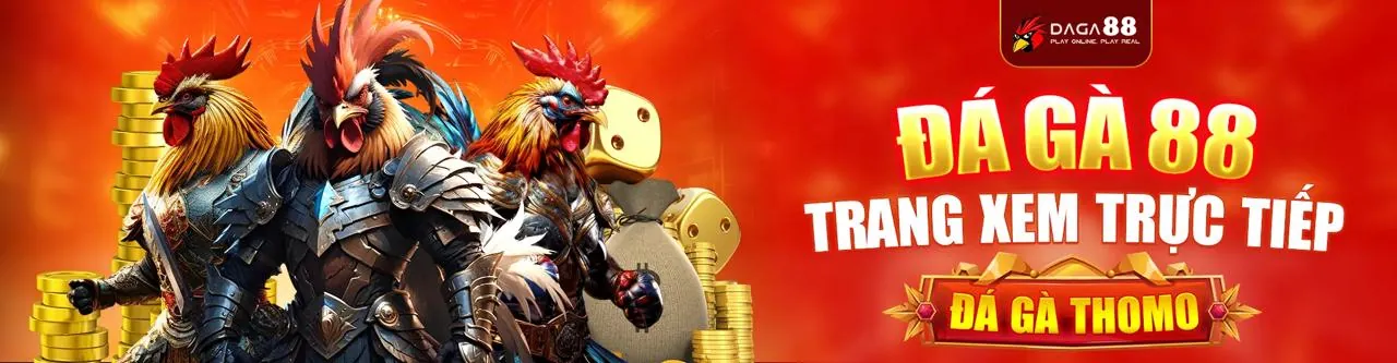 Đá gà trực tuyến nêw88 - Trận đấu gà kịch tính